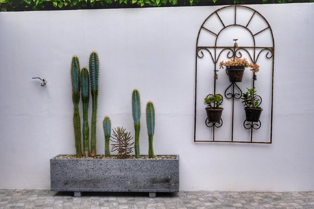 Apartment Casa Pacheco *